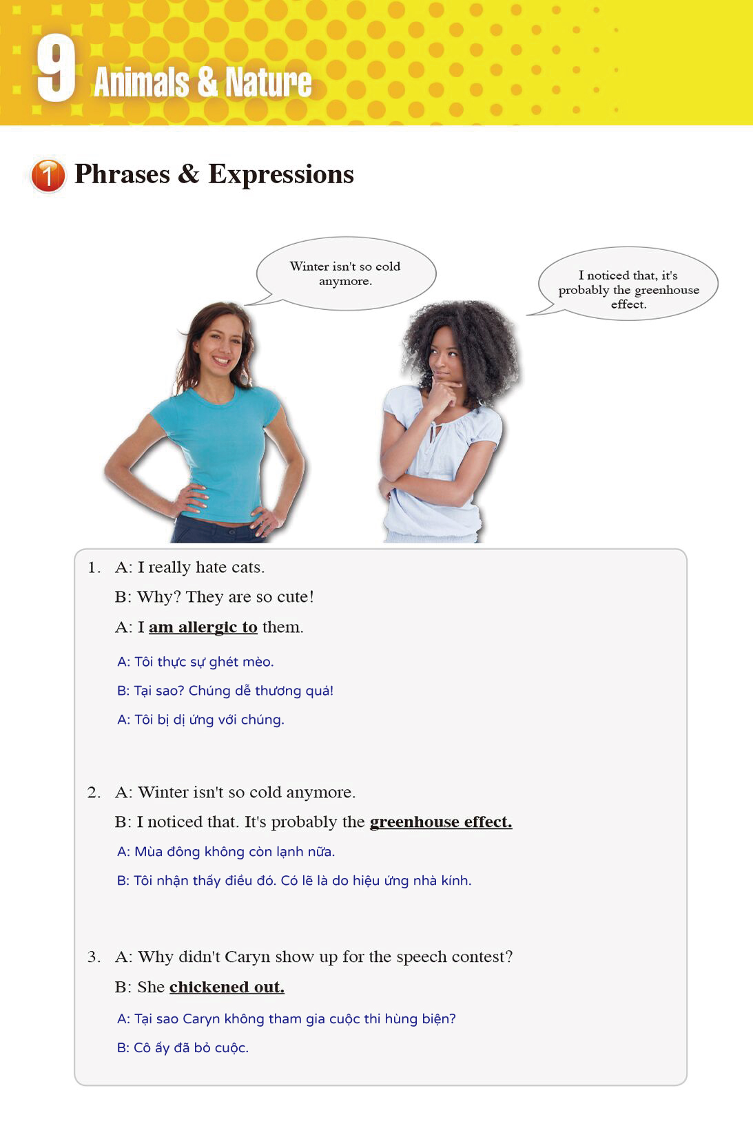 B3-Lesson-9-phrases